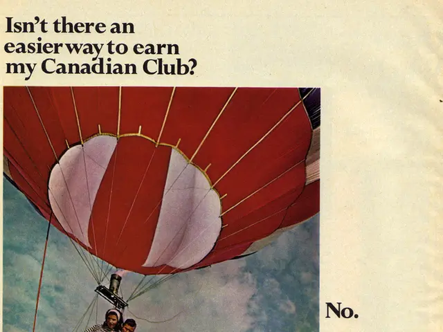 Centenarian marks milestone birthday with thrilling skydive adventure